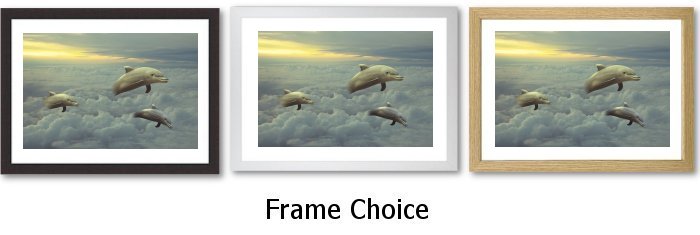 Frame Choice